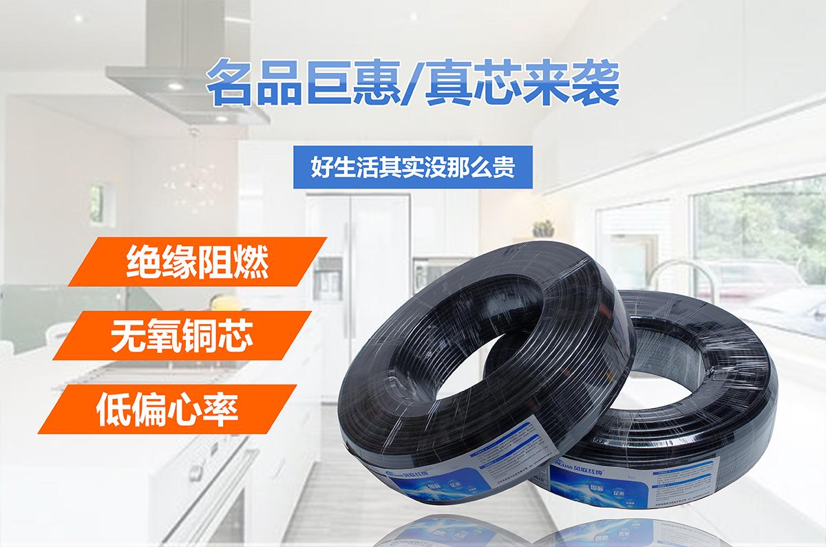 电源线(图3) 电源线